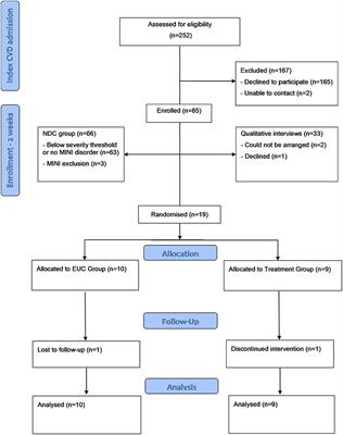Transdiagnostic Cognitive-Behavioral Therapy for Depression and Anxiety Disorders in Cardiovascular Disease Patients: Results From the CHAMPS Pilot-Feasibility Trial